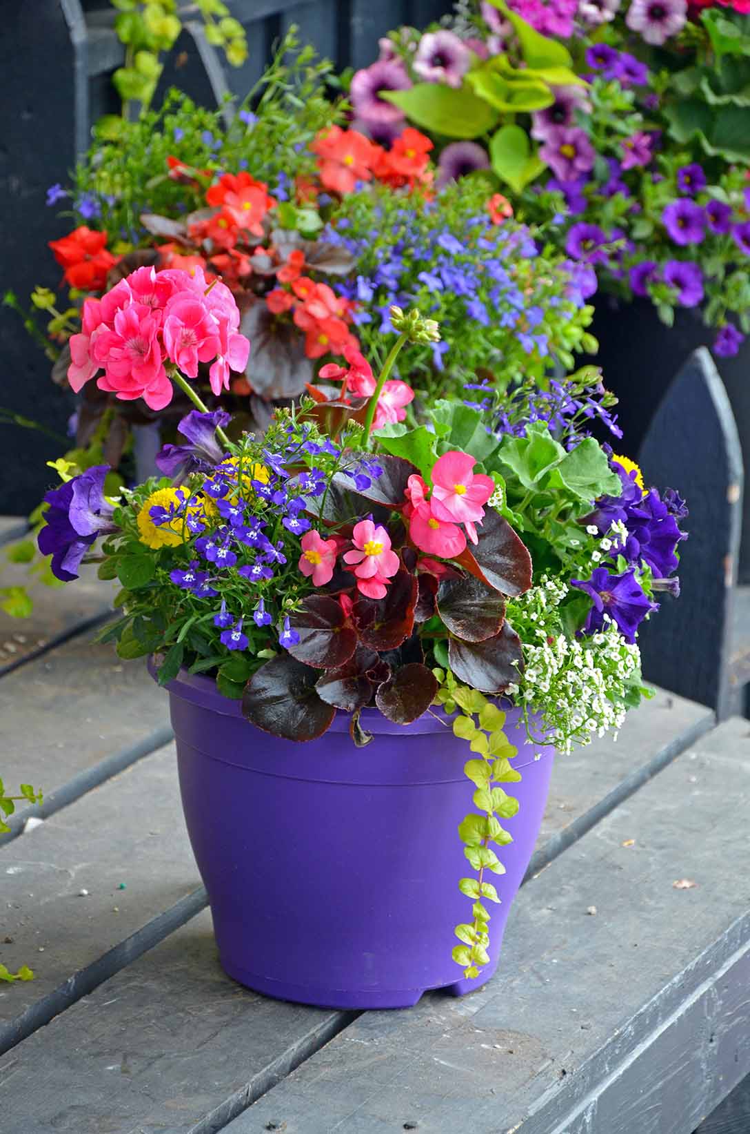 Flower Pots With Flair T8N