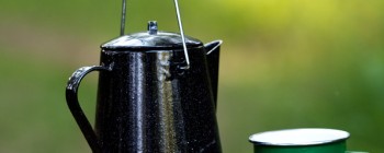 kettle and cup on a stump